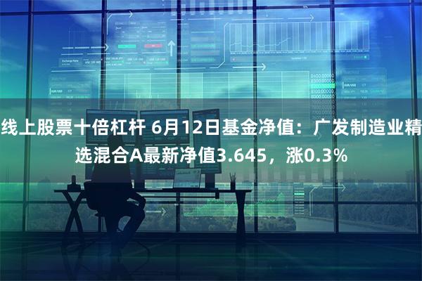 线上股票十倍杠杆 6月12日基金净值：广发制造业精选混合A最新净值3.645，涨0.3%