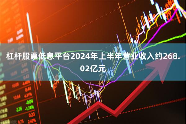 杠杆股票低息平台2024年上半年营业收入约268.02亿元